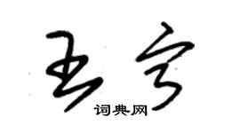 朱锡荣王宁草书个性签名怎么写