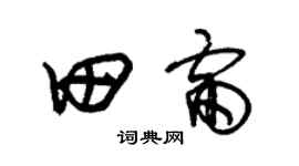 朱锡荣田雷草书个性签名怎么写