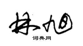 朱锡荣林旭草书个性签名怎么写