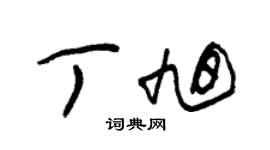 朱锡荣丁旭草书个性签名怎么写