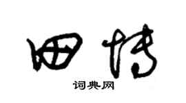 朱锡荣田博草书个性签名怎么写