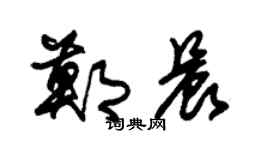 朱锡荣郑晨草书个性签名怎么写