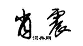 朱锡荣肖震草书个性签名怎么写
