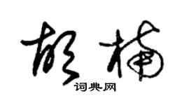 朱锡荣胡楠草书个性签名怎么写