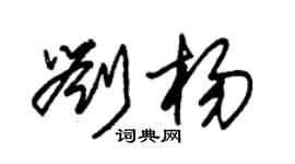 朱锡荣刘杨草书个性签名怎么写