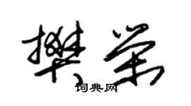 朱锡荣樊荣草书个性签名怎么写