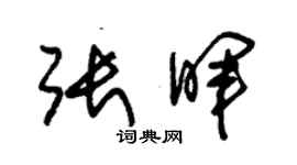 朱锡荣张晖草书个性签名怎么写