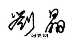 朱锡荣刘晶草书个性签名怎么写