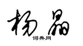朱锡荣杨晶草书个性签名怎么写