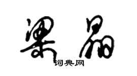 朱锡荣梁晶草书个性签名怎么写