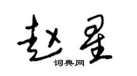 朱锡荣赵星草书个性签名怎么写