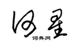 朱锡荣何星草书个性签名怎么写