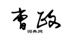 朱锡荣曹政草书个性签名怎么写