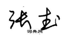 朱锡荣张武草书个性签名怎么写