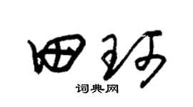 朱锡荣田珂草书个性签名怎么写