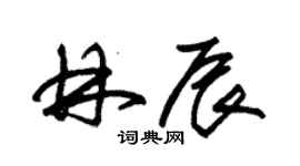 朱锡荣林辰草书个性签名怎么写