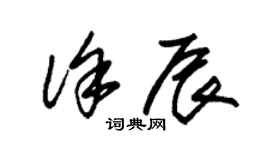 朱锡荣徐辰草书个性签名怎么写