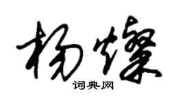 朱锡荣杨灿草书个性签名怎么写