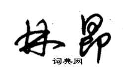 朱锡荣林昂草书个性签名怎么写