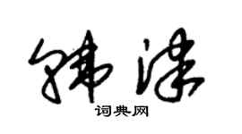 朱锡荣韩津草书个性签名怎么写