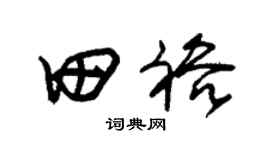 朱锡荣田裕草书个性签名怎么写