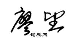朱锡荣廖望草书个性签名怎么写
