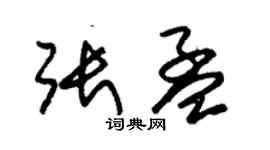 朱锡荣张孟草书个性签名怎么写