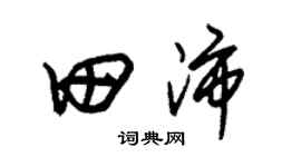 朱锡荣田沛草书个性签名怎么写