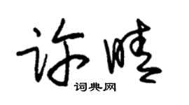 朱锡荣许晴草书个性签名怎么写