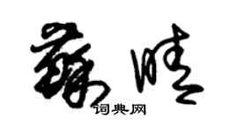朱锡荣苏晴草书个性签名怎么写