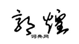 朱锡荣郭煌草书个性签名怎么写