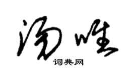 朱锡荣汤唯草书个性签名怎么写