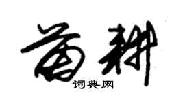朱锡荣苗耕草书个性签名怎么写