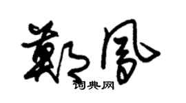 朱锡荣郑凤草书个性签名怎么写