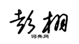 朱锡荣彭栩草书个性签名怎么写