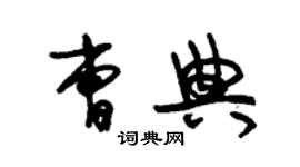 朱锡荣曹典草书个性签名怎么写