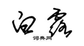 朱锡荣白露草书个性签名怎么写