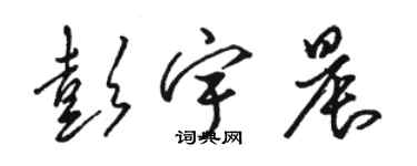 骆恒光彭宇晨草书个性签名怎么写