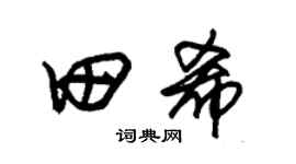 朱锡荣田希草书个性签名怎么写
