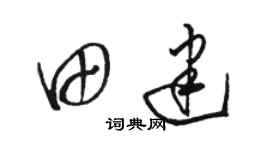 骆恒光田建草书个性签名怎么写