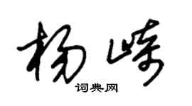 朱锡荣杨崎草书个性签名怎么写