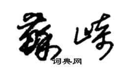 朱锡荣苏崎草书个性签名怎么写
