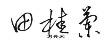 骆恒光田桂兰草书个性签名怎么写