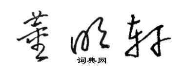 骆恒光董明轩草书个性签名怎么写