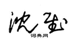 朱锡荣沈慰草书个性签名怎么写