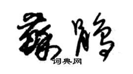 朱锡荣苏鹃草书个性签名怎么写