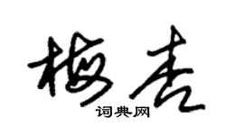 朱锡荣梅杏草书个性签名怎么写