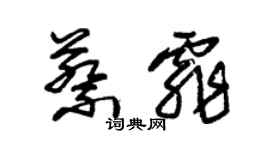 朱锡荣蔡霏草书个性签名怎么写