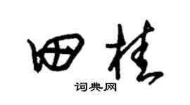 朱锡荣田桂草书个性签名怎么写
