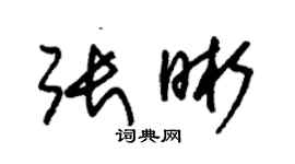 朱锡荣张晰草书个性签名怎么写